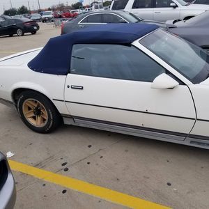 Meet your Posher, Samuel